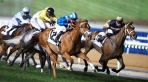 Local Horses With World Cup Night Hopes Highlight Saturday Meet