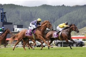 Talented but troublesome Euphoria records stylish win