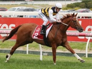 Gailo Chop on target for Australian Cup