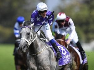 D'Argento to run in Doncaster not Derby