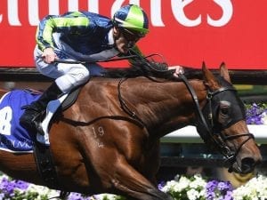 Purcell confident going into Newmarket