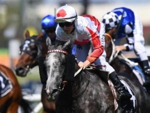 Master Of Arts penalised for Sydney Cup