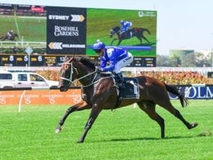 Winx ready to go for George Ryder Stakes