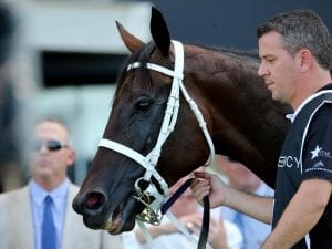 Winx to start from outside gate in QE