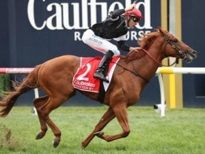 Golden Slipper: What they're saying