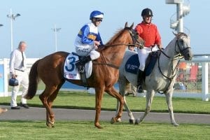 Good Host, Sea Lady set for Country final