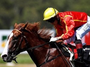 Well-bred filly Te Amo sheds maiden tag