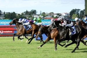 Melbourne Cup aim for Ladies First