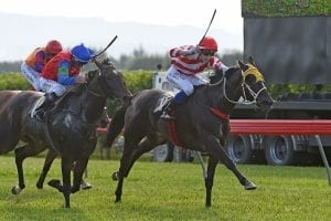 Increase in journey no issue for Lady Guinness