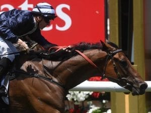 Weather the key for Mornington Cup start