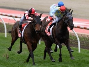Missrock spot-on for Newmarket after trial