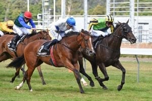 Nicoletta set for strong G2 showing