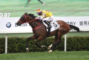 Ping Hai Star among nominations for the three Group 1s on Audemars Piguet QEII Cup day