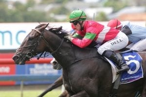 Project record dominant win at Ellerslie