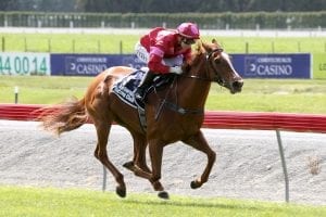 Speed queen on trial for Queensland