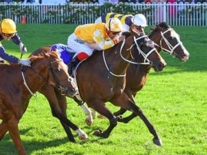 Comin' Through on track for Doncaster Mile