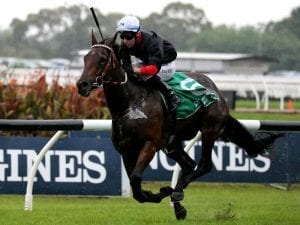 Quilista seals Birthday Card Stakes win