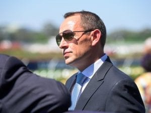 Waller well represented in R'hill Guineas