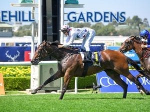 Favourites draw nicely in Golden Slipper