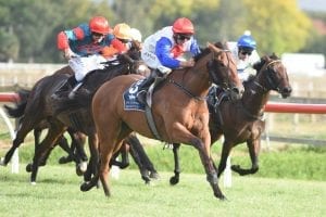 Chris Johnson to ride Savvy Coup in NZ Oaks