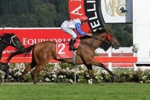Savvy Coupe salutes in Group 1 New Zealand Oaks