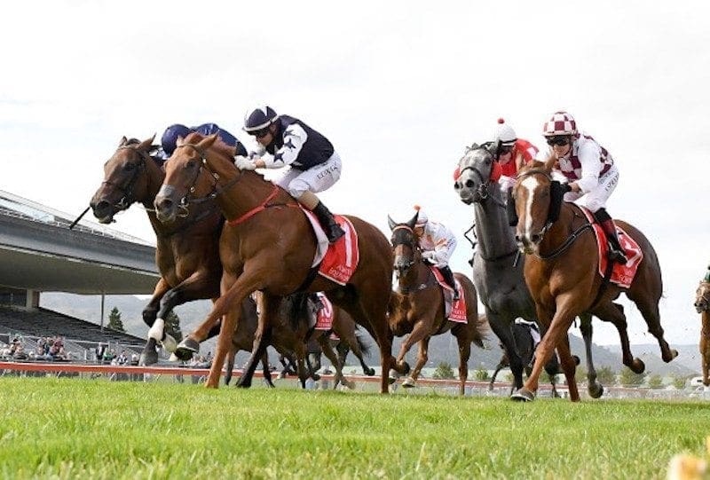 Scott Base snares victory in the Wellington Guineas