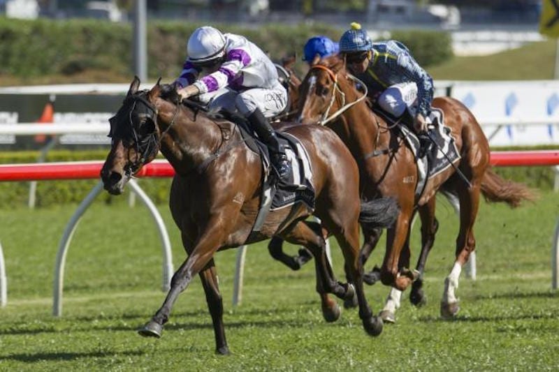 Spright storms to victory in G3 Healy Stks
