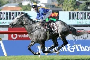 Saint Emilion captures Group 1 Bonecrusher NZ Stakes