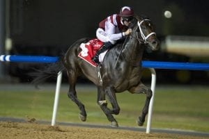 Storm Belt And Interpret Lead The Field In Jebel Ali Friday Feature