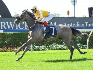 Pure Elation breaks her maiden in style