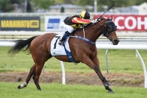 Art Deco sizing up for black type racing
