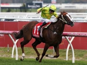 Sprightly Lass lands Caulfield stakes win