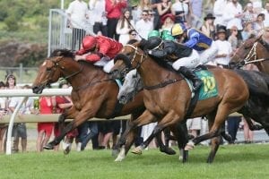 No shame in second to Winx for Consensus