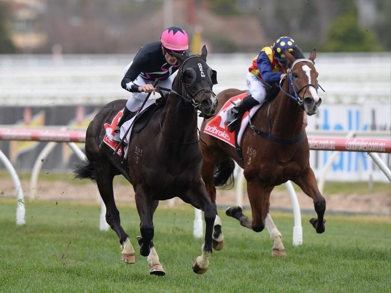Mr Sneaky wins at Caulfield.