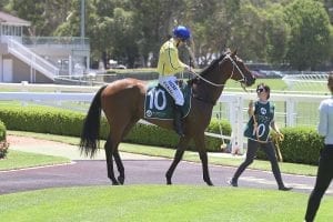 D-Day for Expiredtime at Warwick Farm