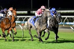 Exciting Murty ready for Caulfield debut