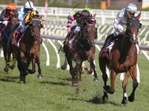 Double gets Bayliss in form for Brisbane