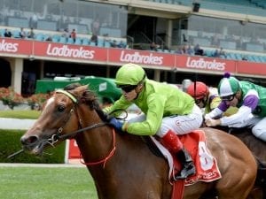 Caulfield option for filly Truly Discreet