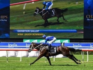 Winx and Bowman ready for Queen Elizabeth