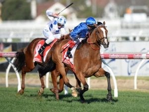 Hartnell entered for All Aged Stakes