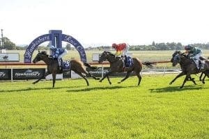 Guerrier Hawkesbury betting preview, tips & top odds | Monday, April 05