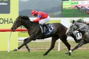 Mare comes through Group 1 victory in top order