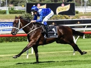 Top four aim for Success Days in QE Stakes