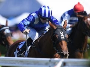 Champagne Stakes now an option for Futooh