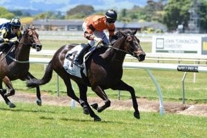 Wednesday NZ Briefs - Rock On Wood earns his spell