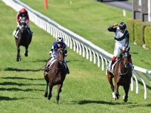 Injured Fanatic scratched from Sydney Cup