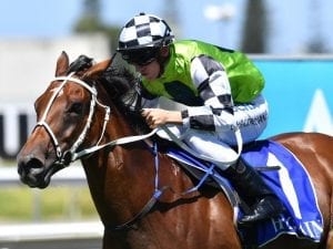Waller chasing first Toowoomba win