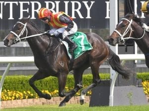 Ms Rodarte opens up in style at Canterbury