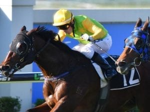 All-the-way win to I'm A Rippa in Sprint