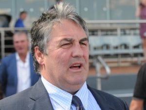 Japanese influence in Doomben Cup